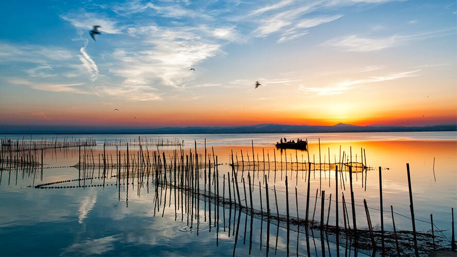 Albufera Natural Park Valencia – Nature and Boats