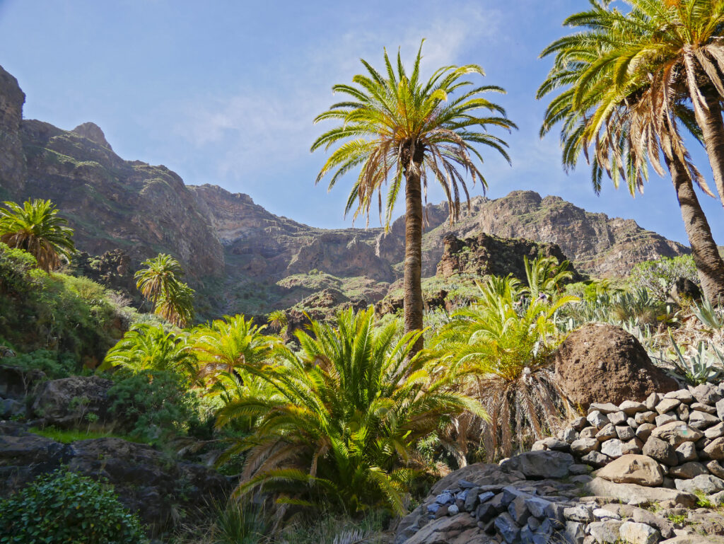 Fuerteventura – Endless Beaches and Wind