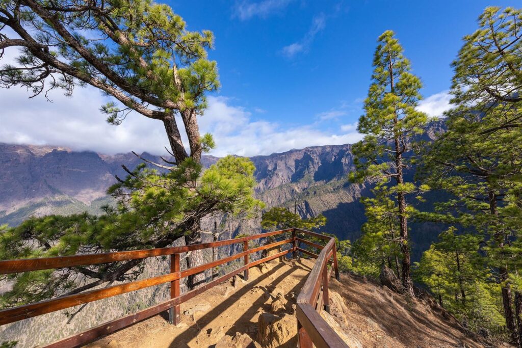La Palma – Forests and Stars