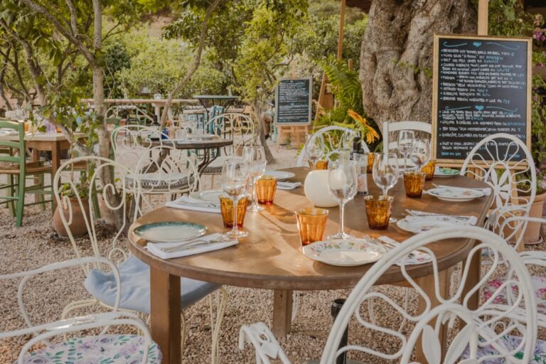 La Paloma Ibiza, Discover Out Favorite Restaurants in Ibiza