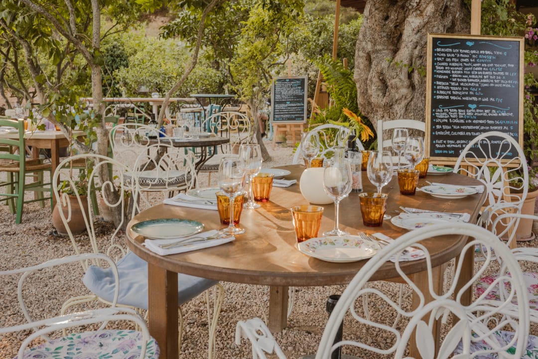 La Paloma Ibiza, Discover Out Favorite Restaurants in Ibiza