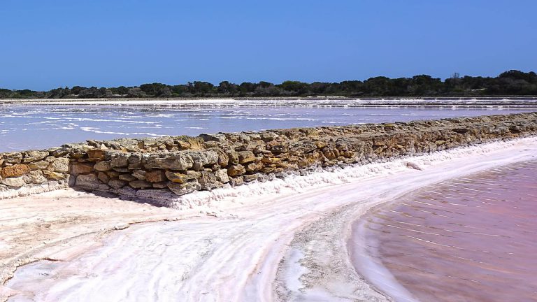 Salt Flats of Ses Salines Ibiza