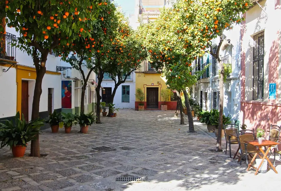 Stroll Through Barrio Santa Cruz Seville