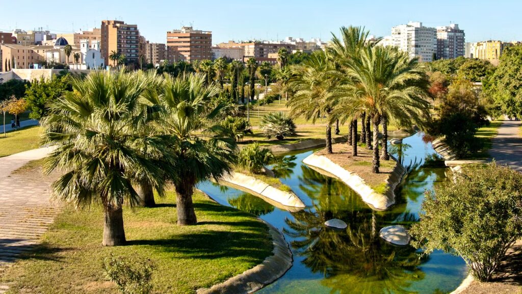 Turia Gardens – A Green Ribbon Through the City Valencia