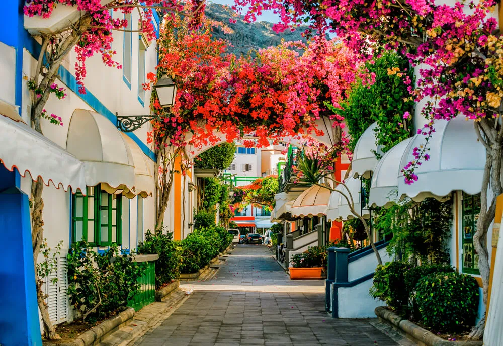Things To Do In the Canary Islands Spain – Eternal Spring