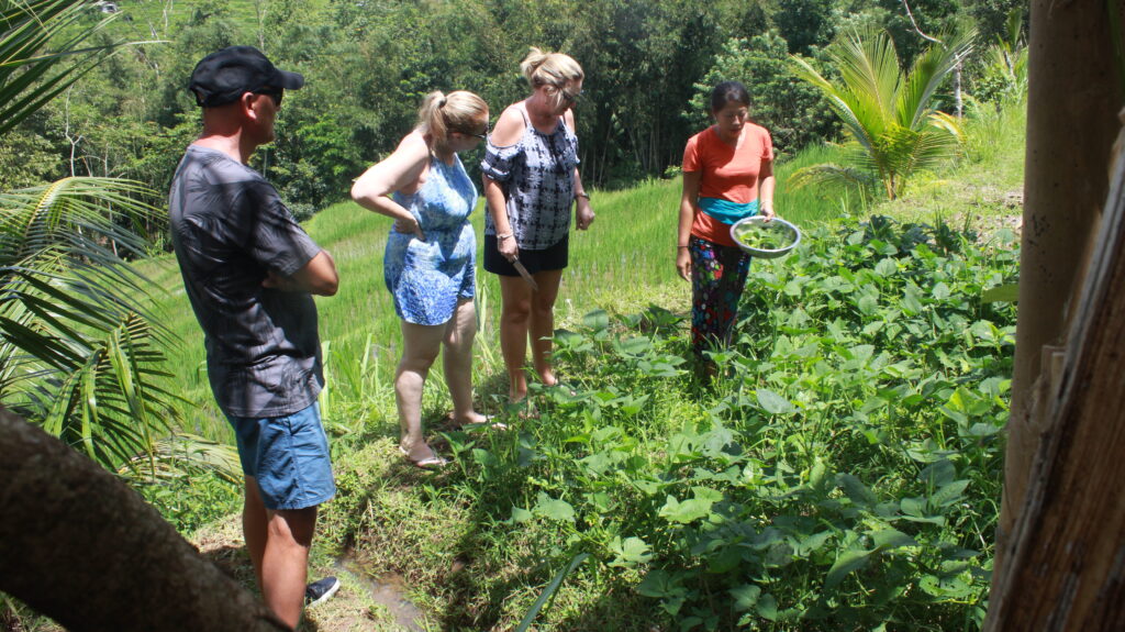 Bali Cooking Class Kubu Terrace Jatiluwih