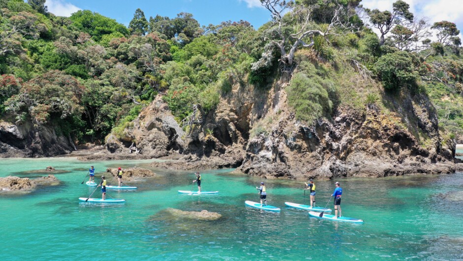Paddleboaring Tutukaka New Zealand Sub Bro's