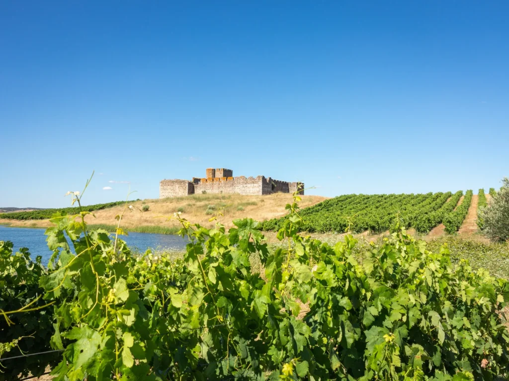 Wine Trails